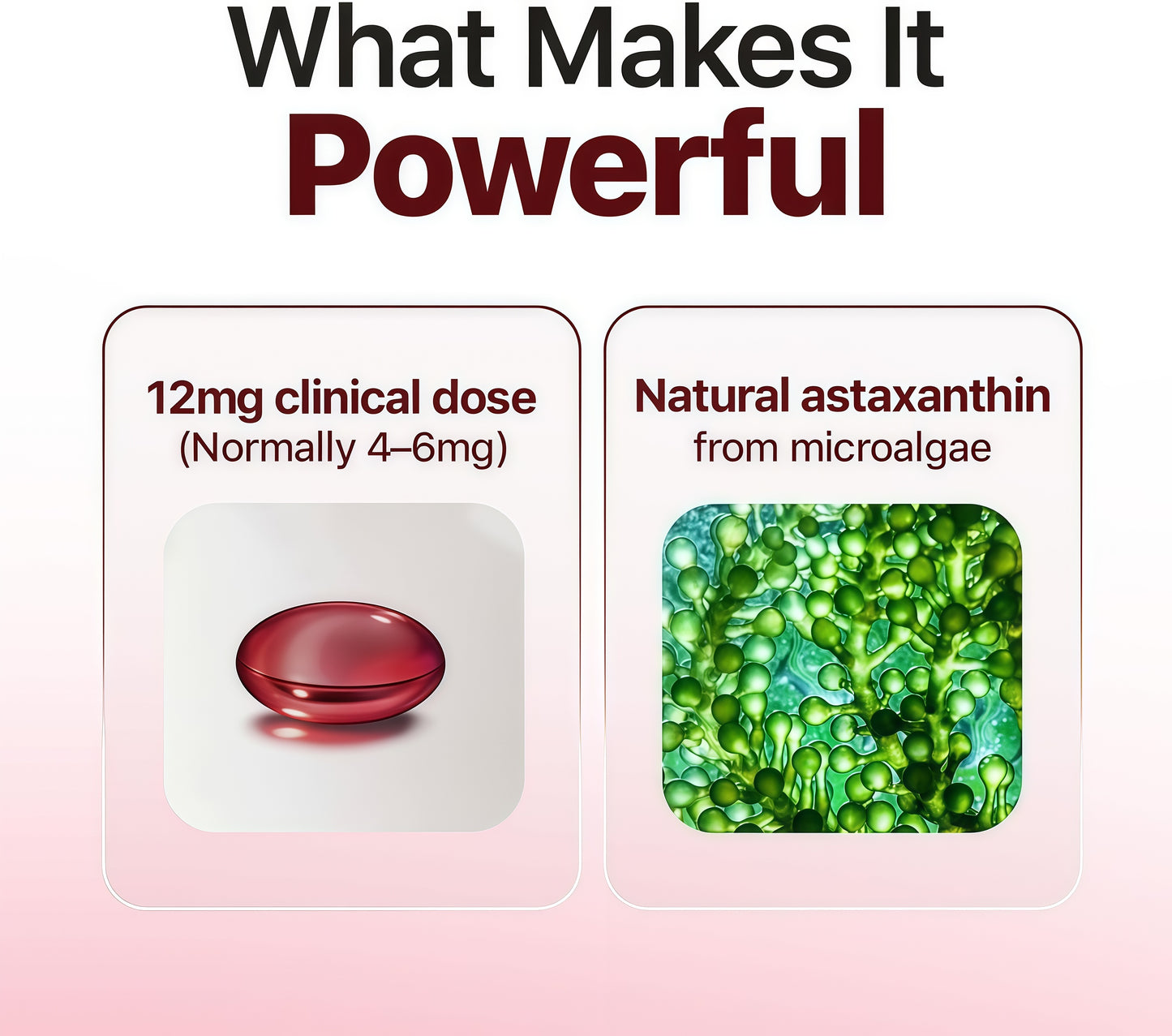 ROVINA Astaxanthin 12mg Softgels, Triple Strength Antioxidant Triple Strength Antioxidant from Microalgae; supports eye, skin, immune & joint health; Non-GMO, Gluten Free, 60 ct